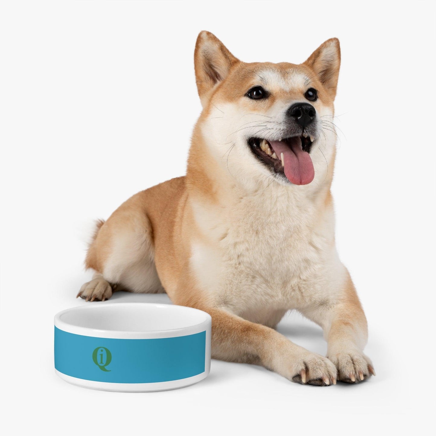 IQ Fashion | Pet Bowl