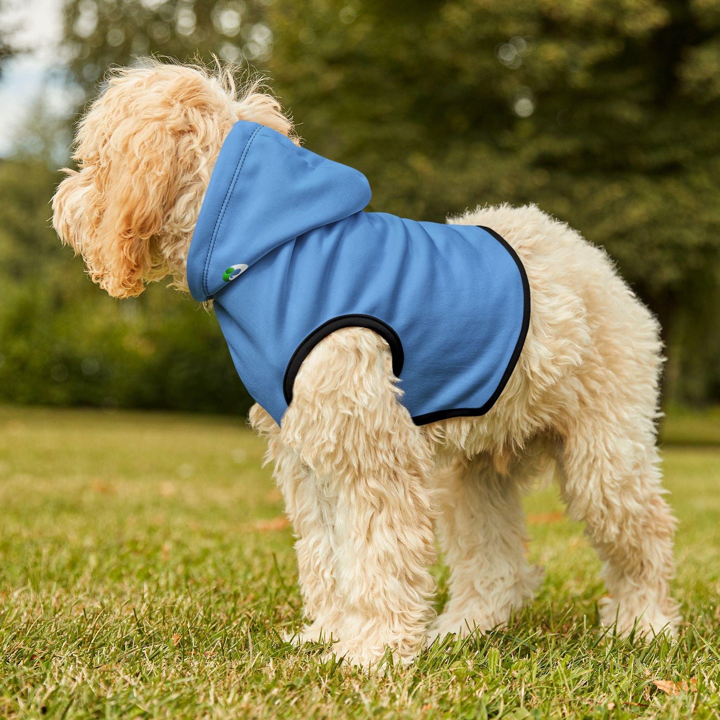 IQ Fashion | Pet Hoodie