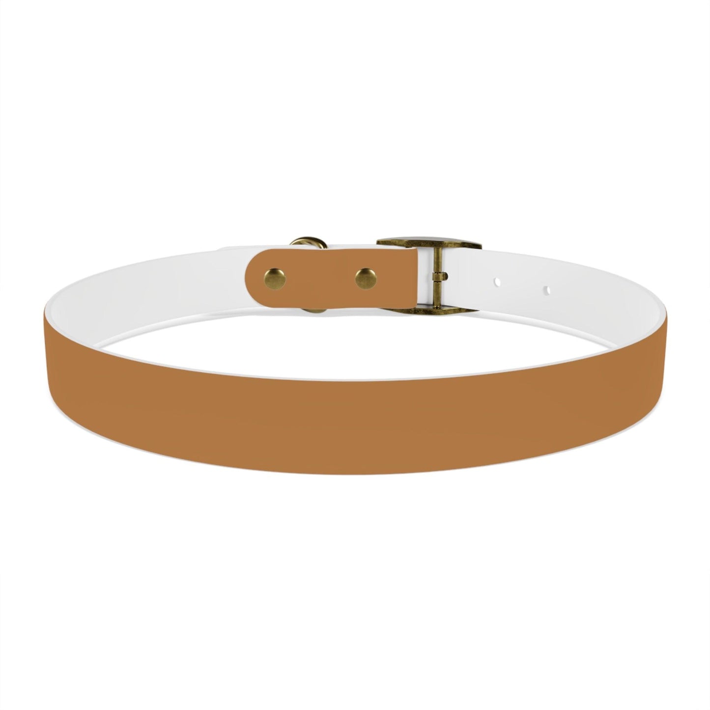 IQ Fashion | Dog Collar