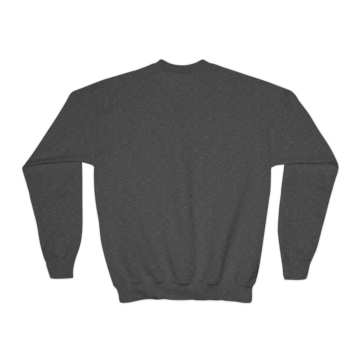 Youth Crewneck Sweatshirt - 1% ER Design for Cool Kids