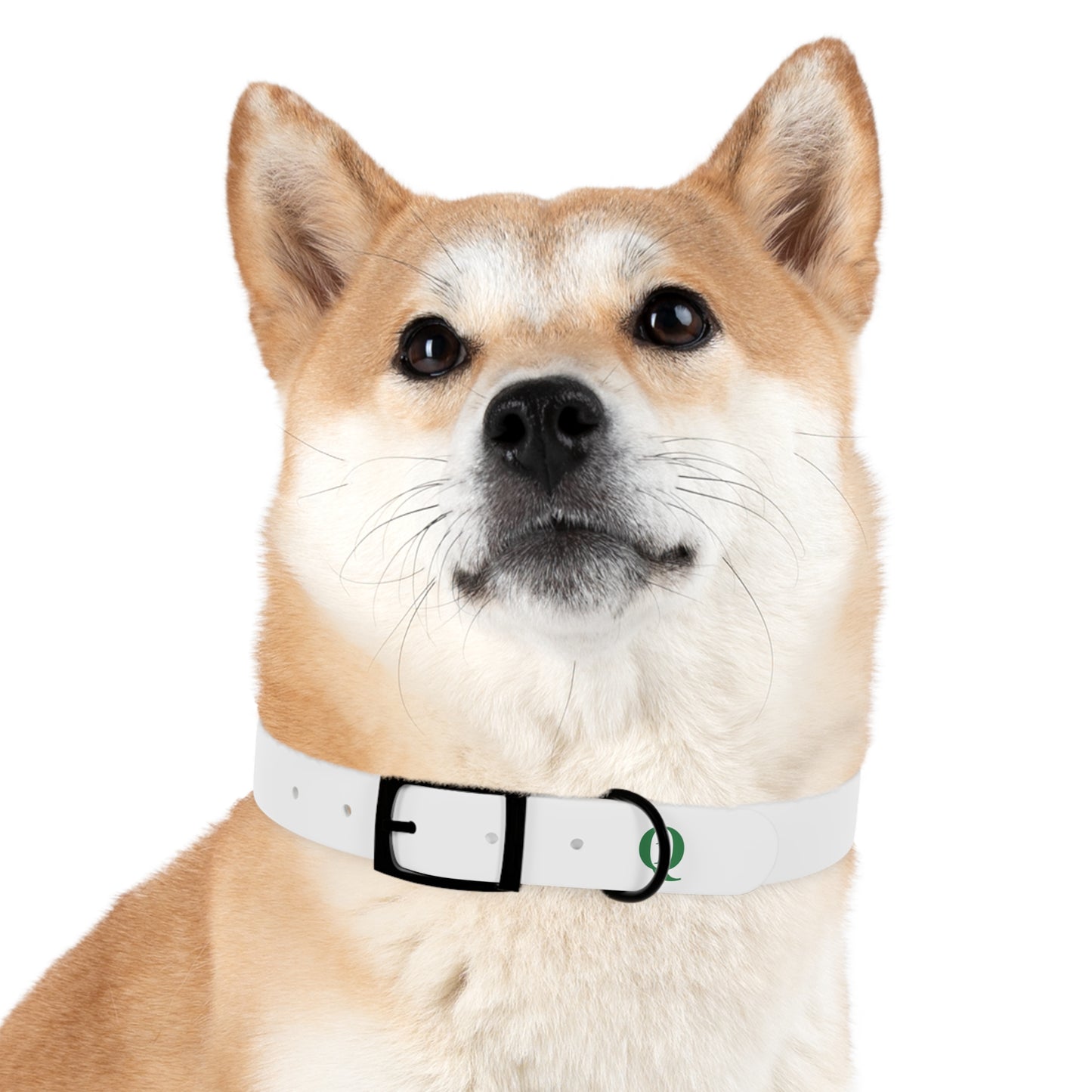 IQ Fashion | Dog Collar