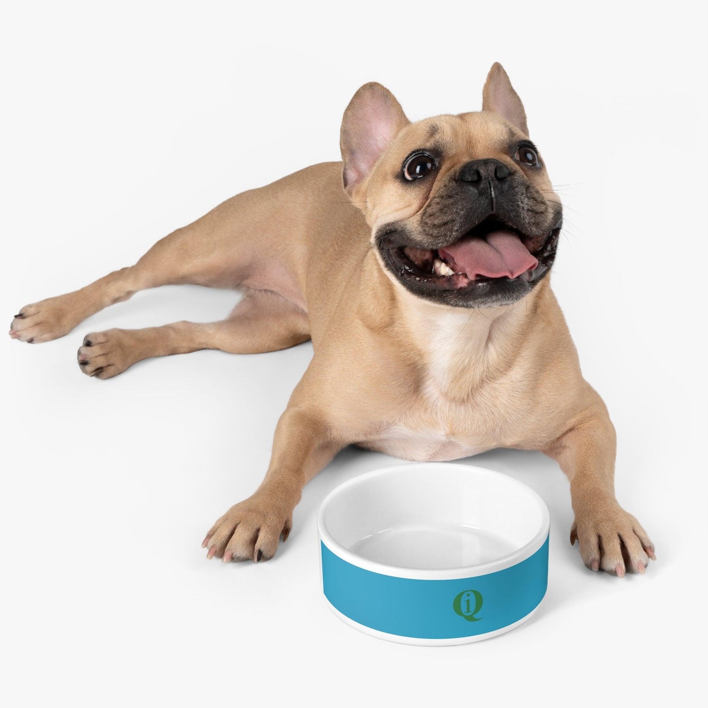 IQ Fashion | Pet Bowl