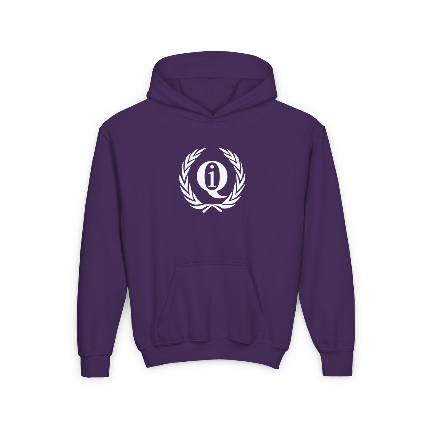 IQ Fashion | Youth Hooded Sweatshirt