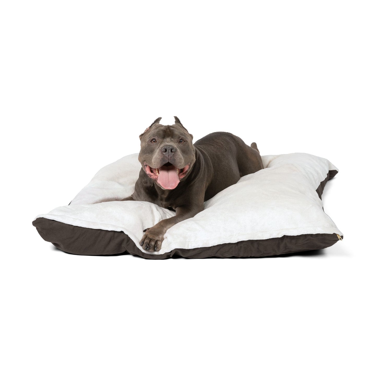 IQ Fashion | Pet Bed