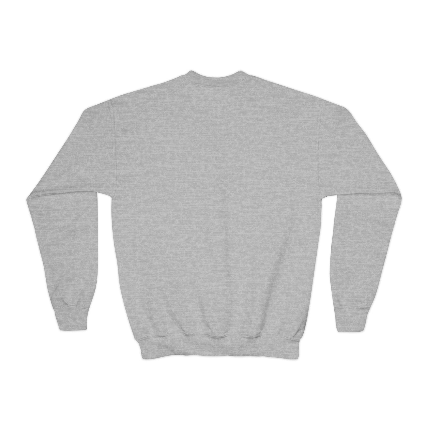 Youth Crewneck Sweatshirt - 1% ER Design for Cool Kids