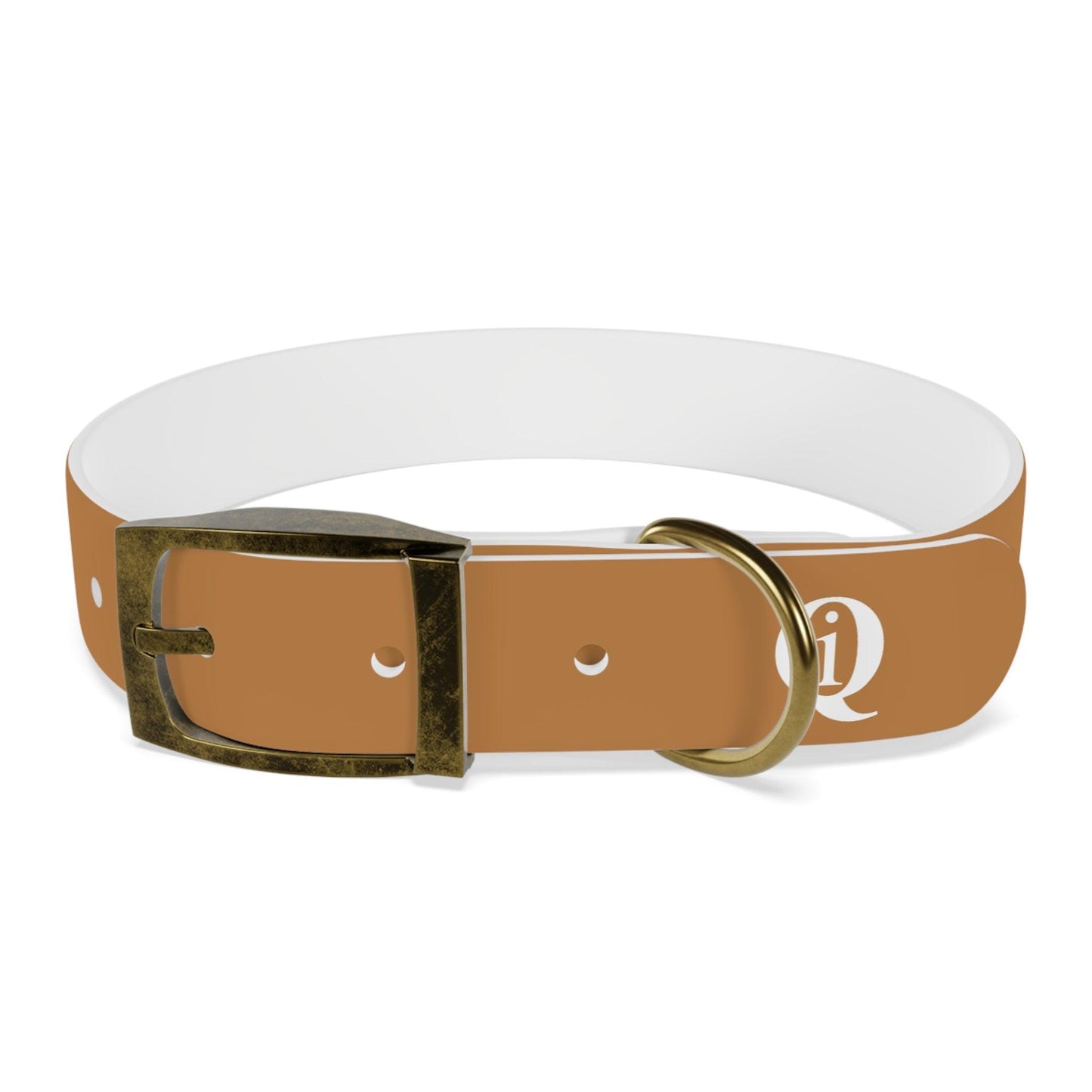 IQ Fashion | Dog Collar