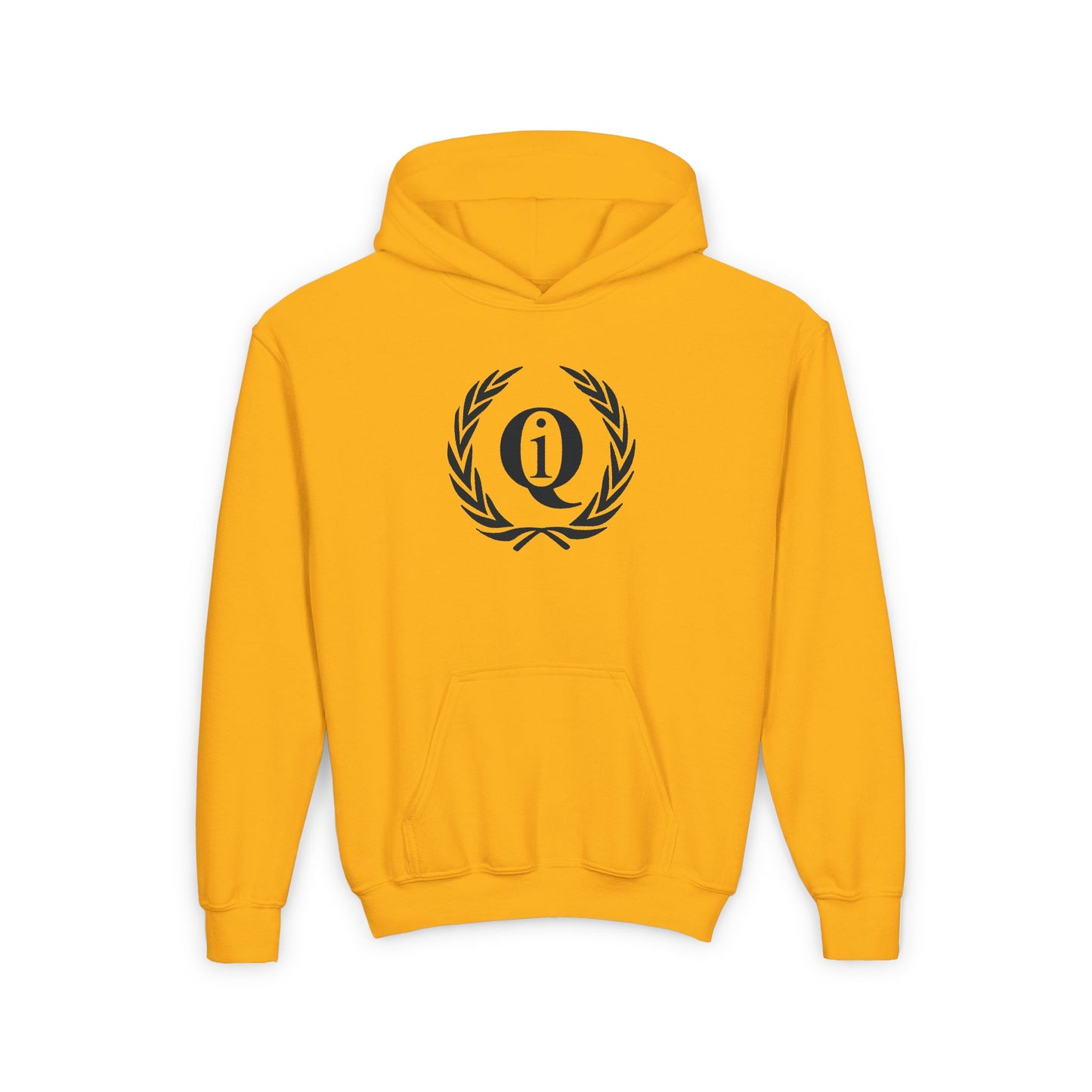 IQ Fashion | Youth Hooded Sweatshirt