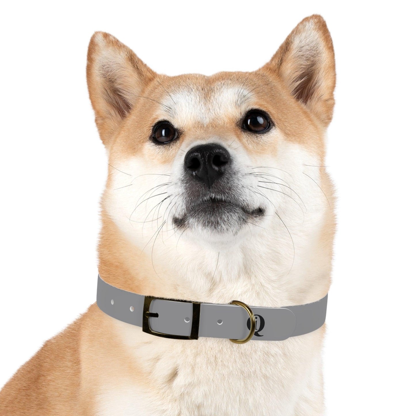 IQ Fashion | Dog Collar