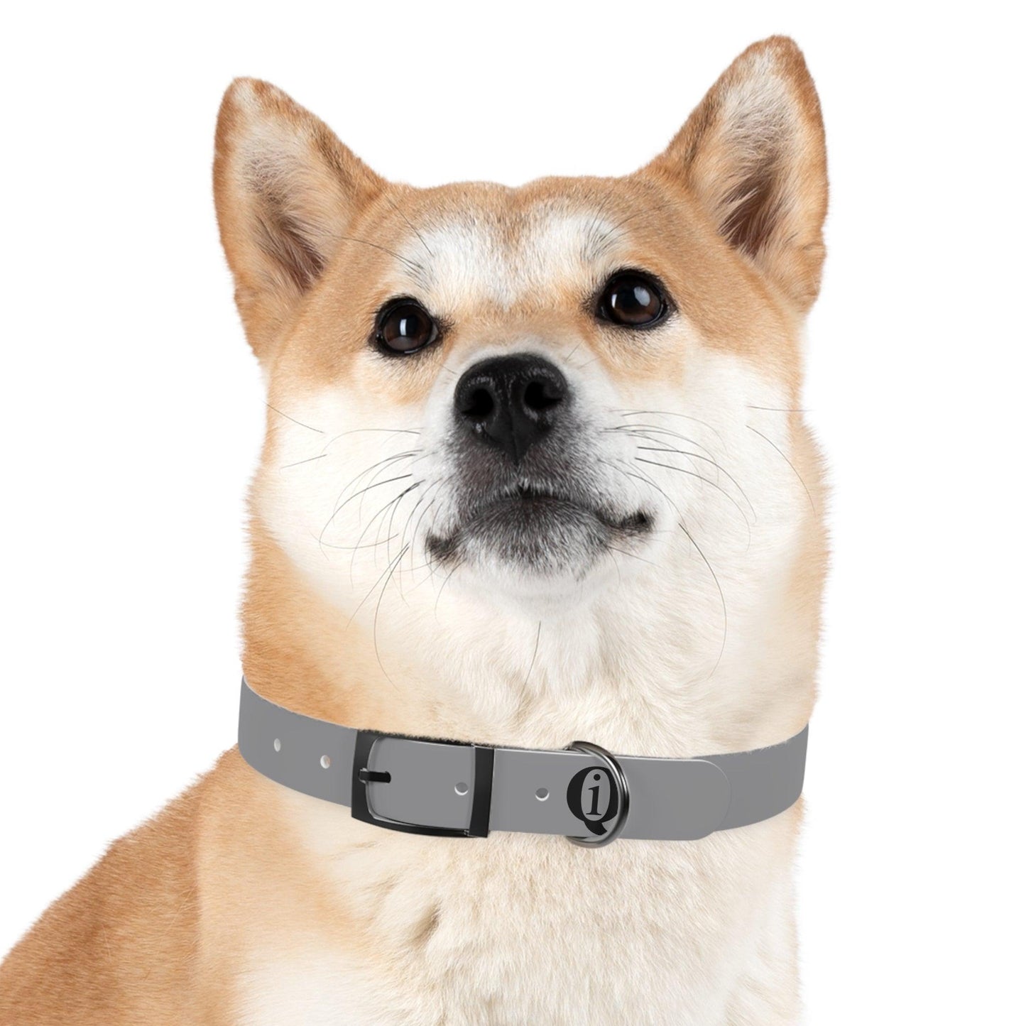 IQ Fashion | Dog Collar