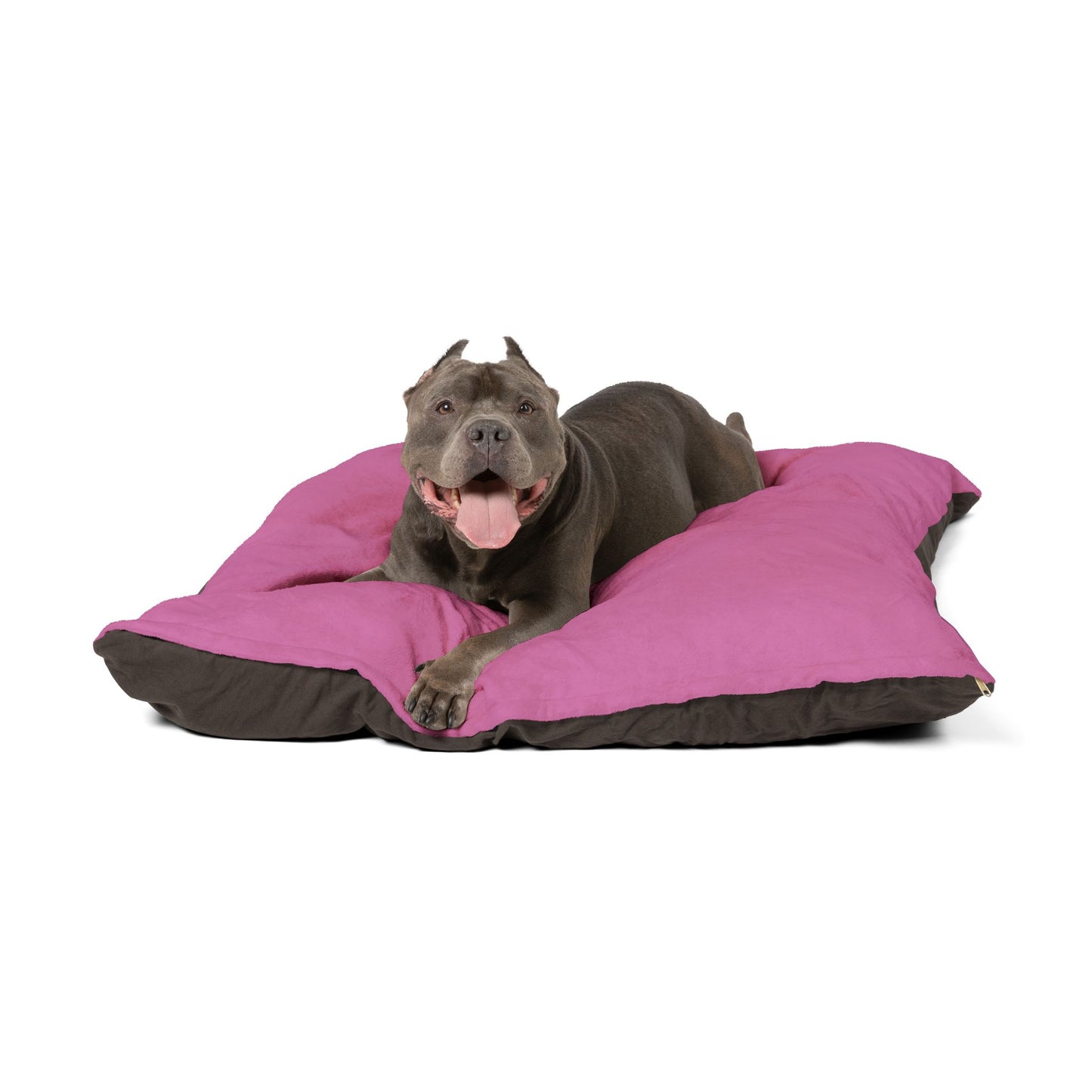 IQ Fashion | Pet Bed