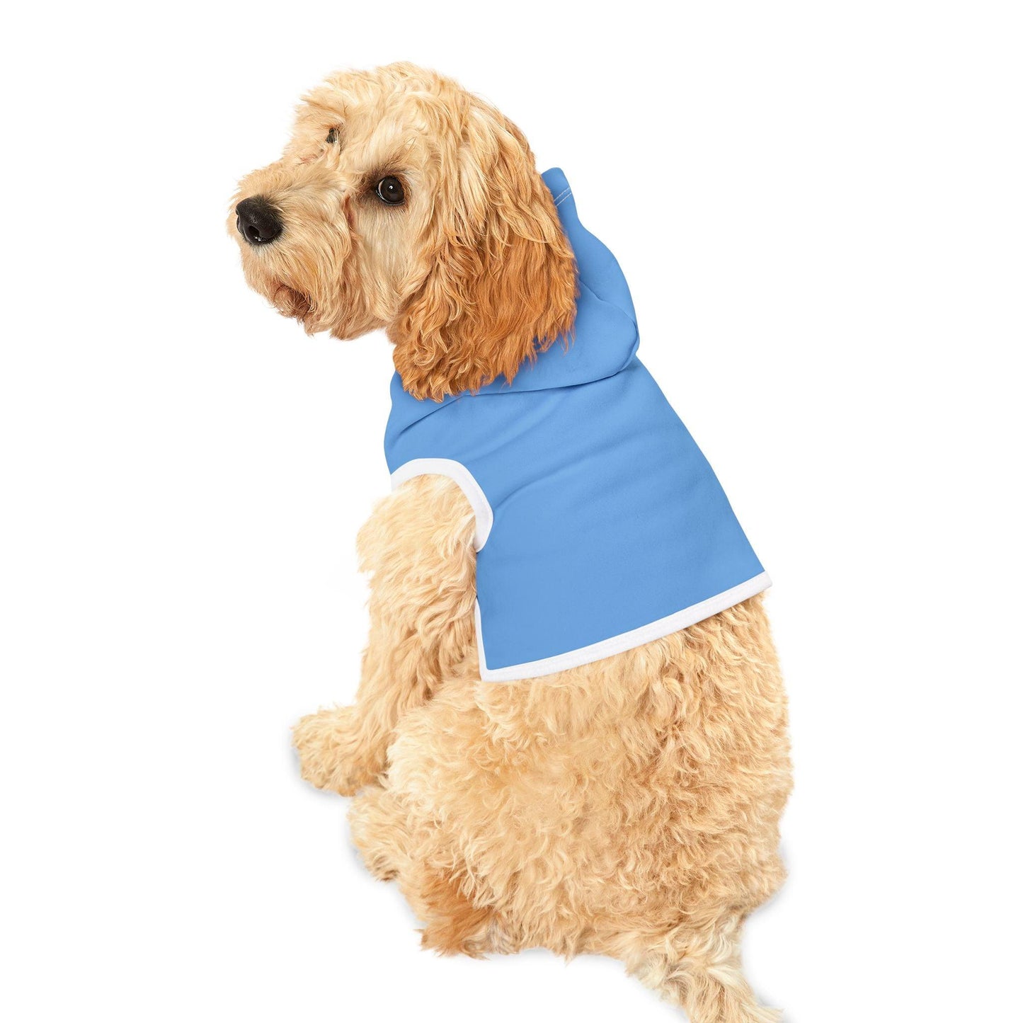 IQ Fashion | Pet Hoodie