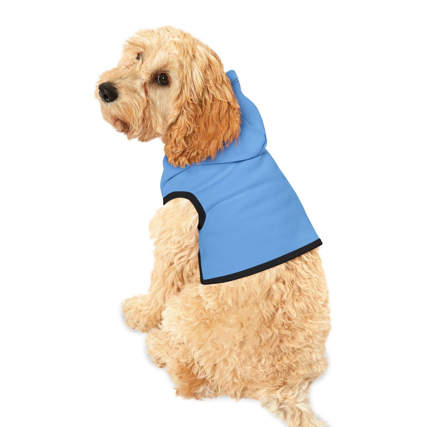 IQ Fashion | Pet Hoodie