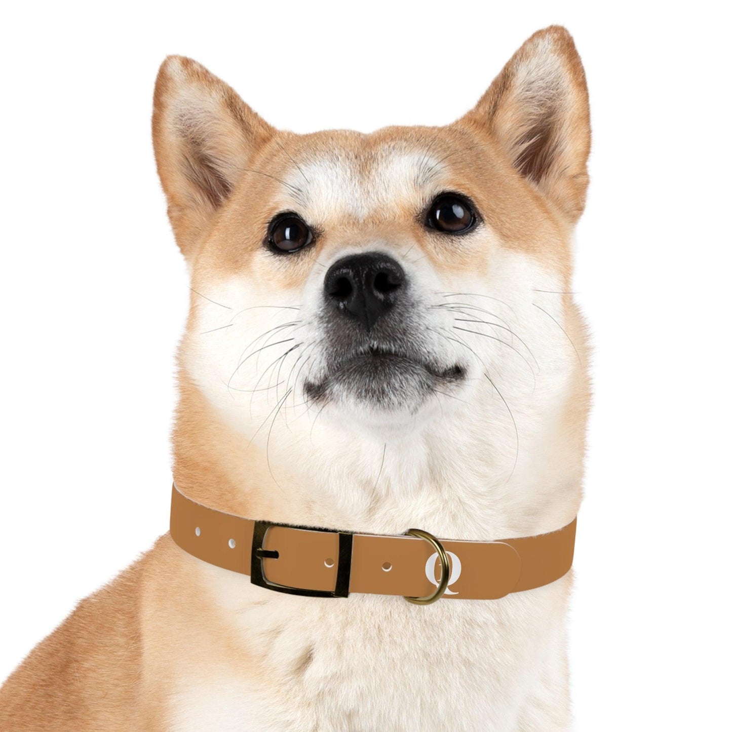 IQ Fashion | Dog Collar