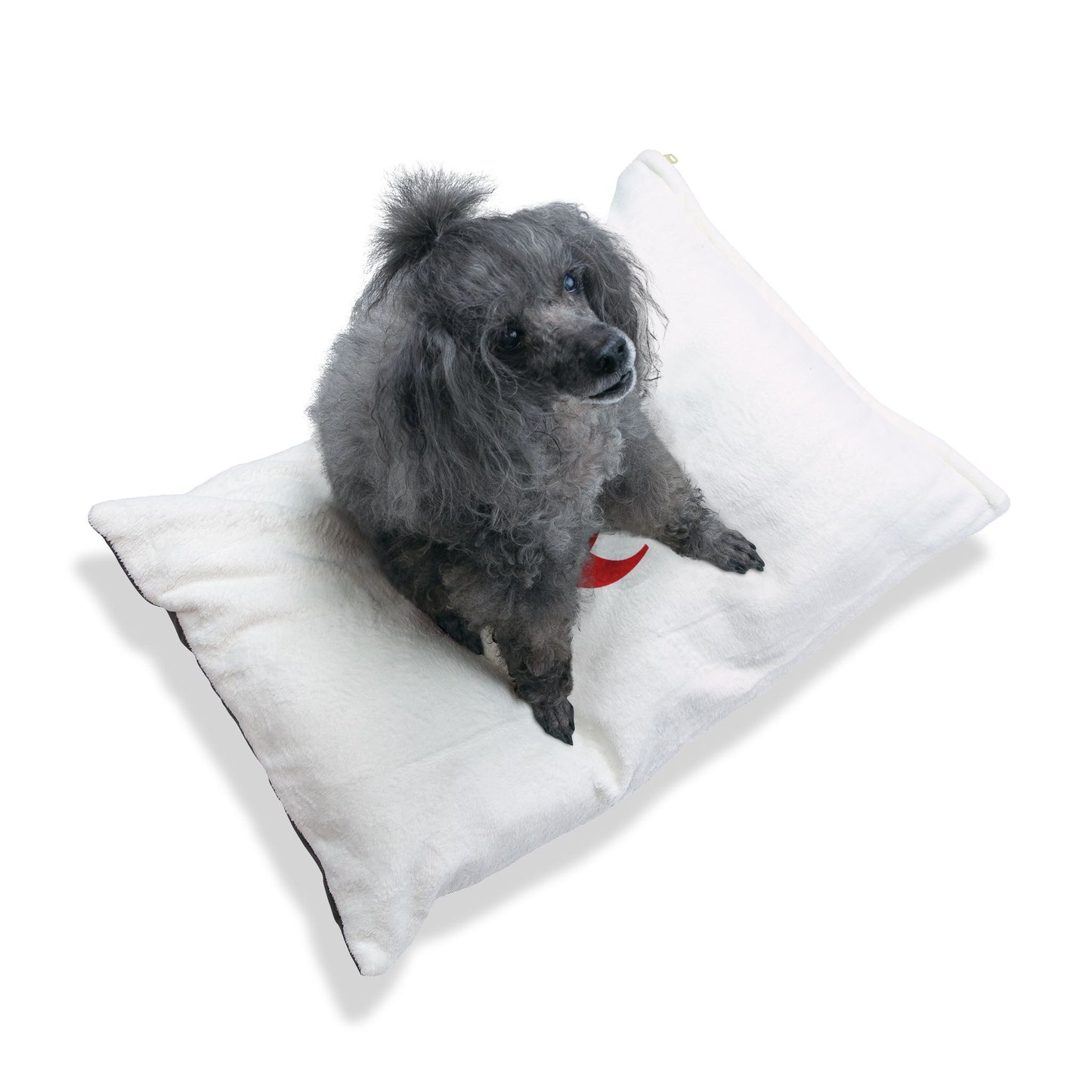 IQ Fashion | Pet Bed