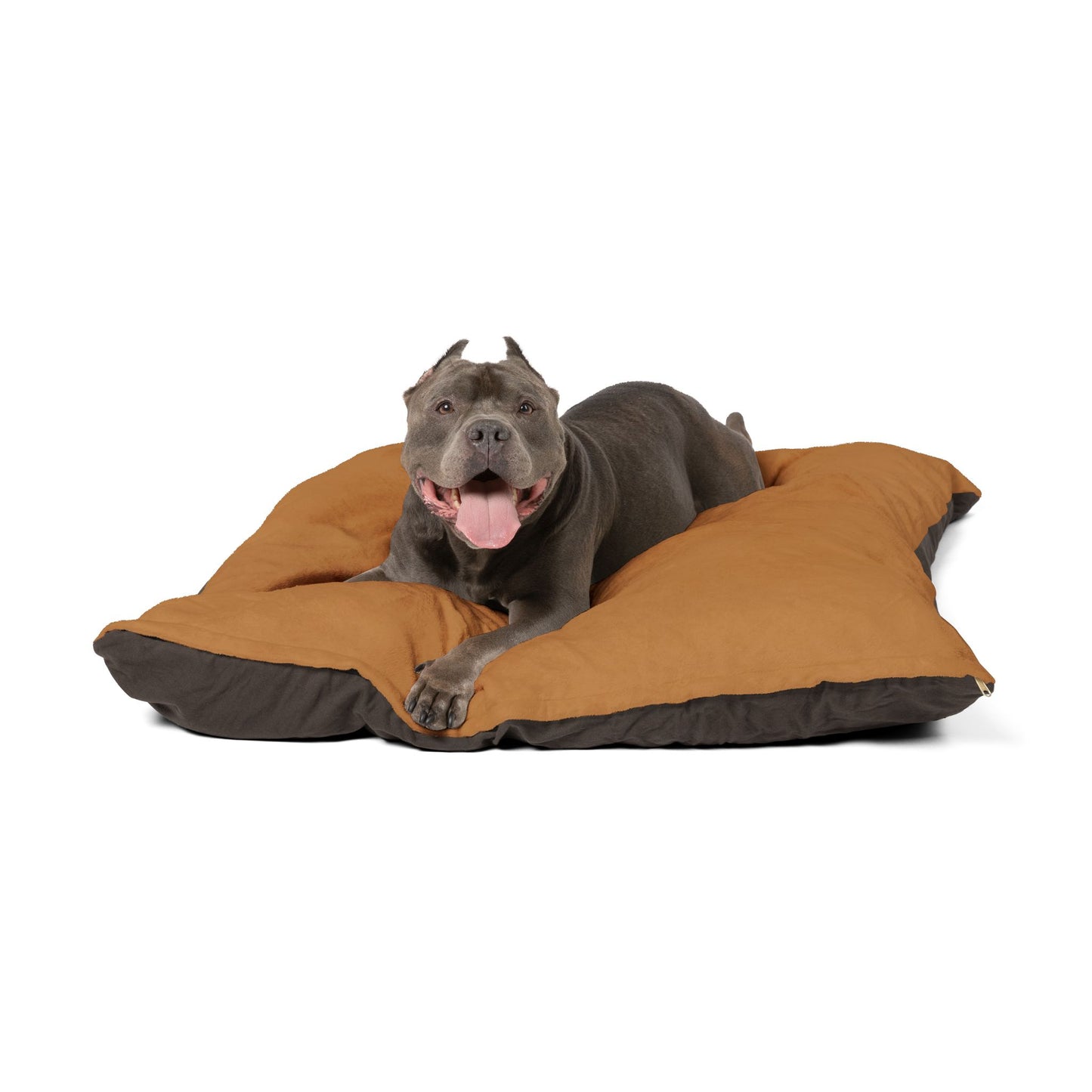 IQ Fashion | Pet Bed