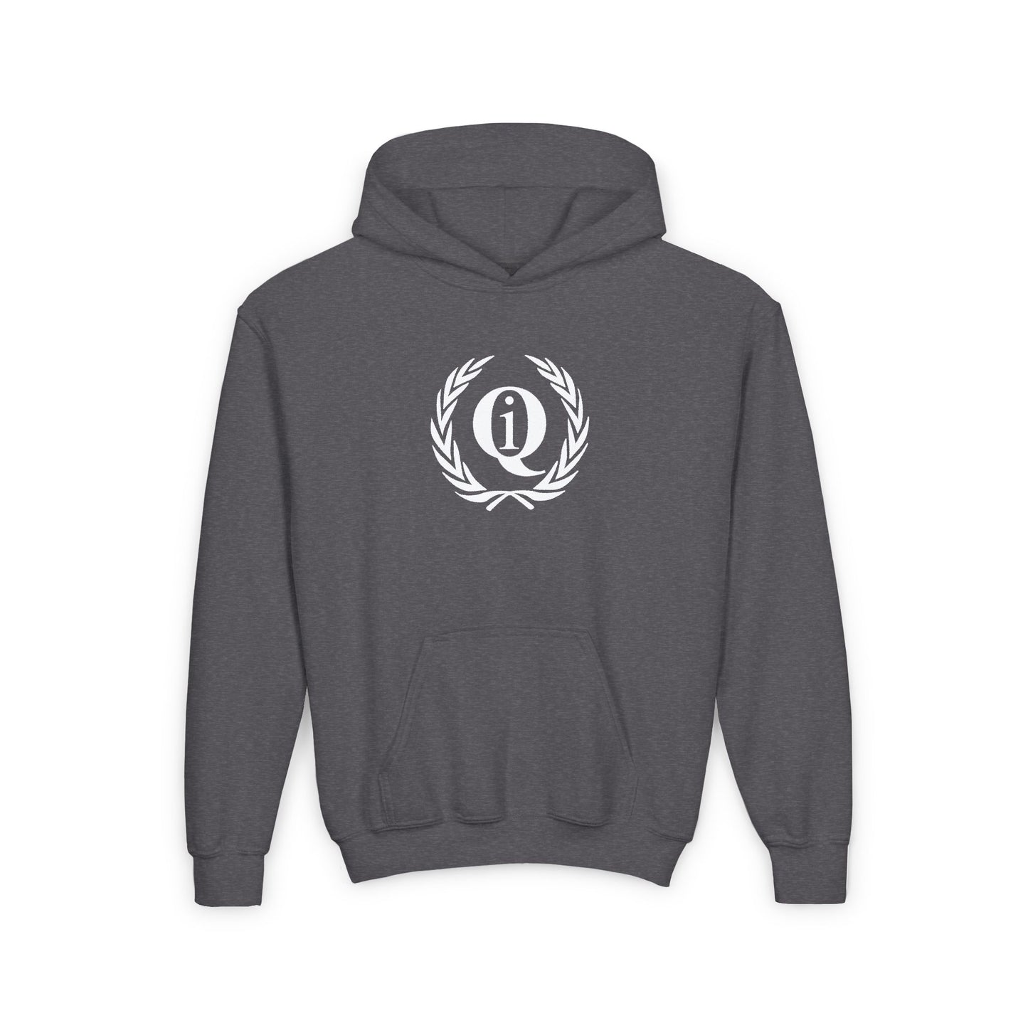 IQ Fashion | Youth Hooded Sweatshirt